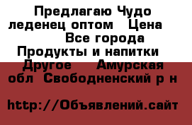 Предлагаю Чудо леденец оптом › Цена ­ 200 - Все города Продукты и напитки » Другое   . Амурская обл.,Свободненский р-н